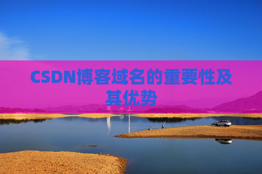 CSDN博客域名的重要性及其优势